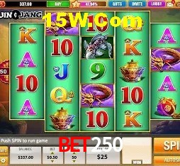 Experiência VIP Bet250